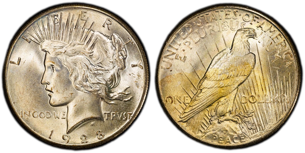 1928 Peace Dollar grading strip showing four condition tiers: worn Good, circulated VF, uncirculated MS-63, and gem MS-65